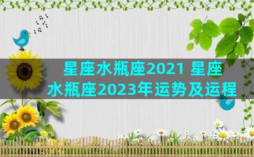 星座水瓶座2021 星座水瓶座2023年运势及运程